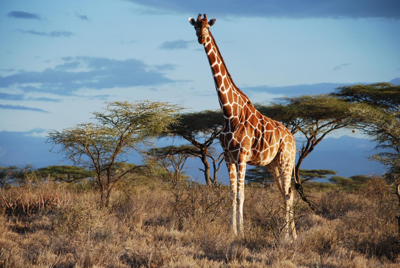 Bush Lovers Lodge Modimolle Bagian luar foto