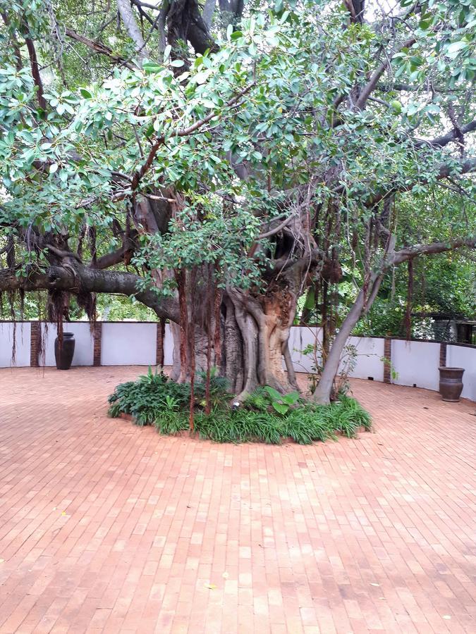 Bush Lovers Lodge Modimolle Bagian luar foto